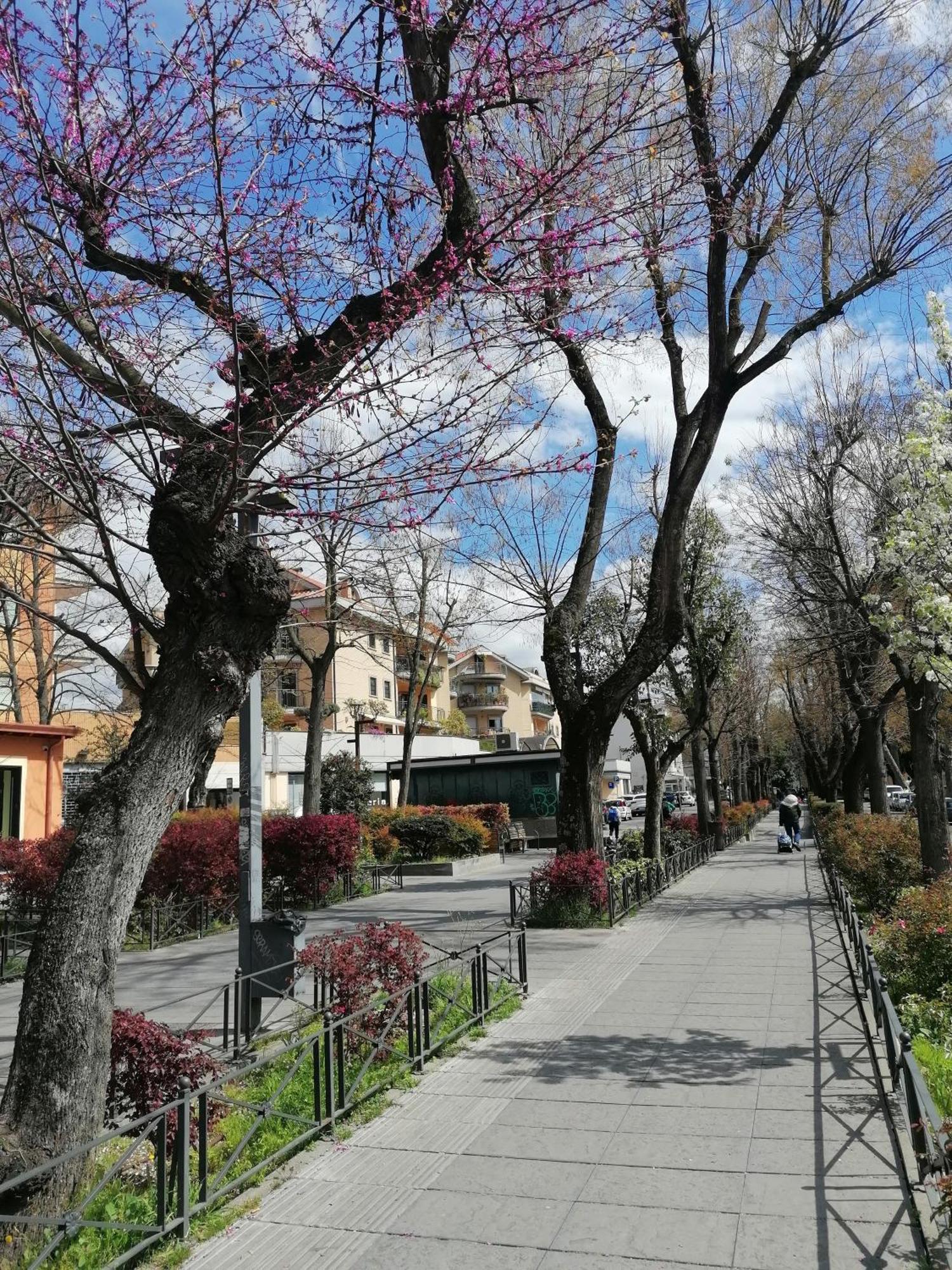 Апартаменты La Passeggiata Монтеротондо Экстерьер фото